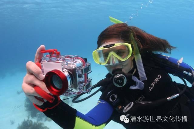虫虫助手下载